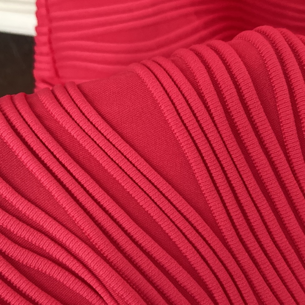 Elegant Red Ribbed Dress - Picture 5 of 6